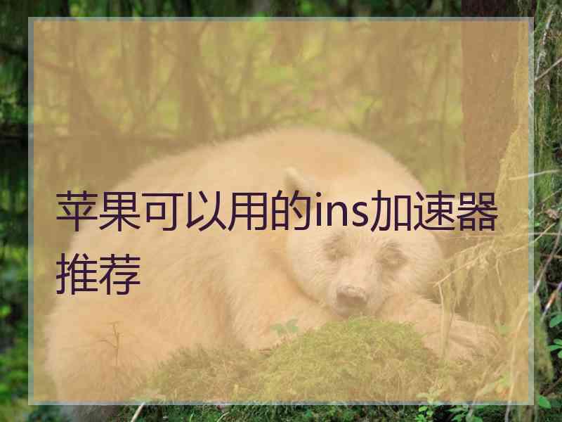 苹果可以用的ins加速器推荐
