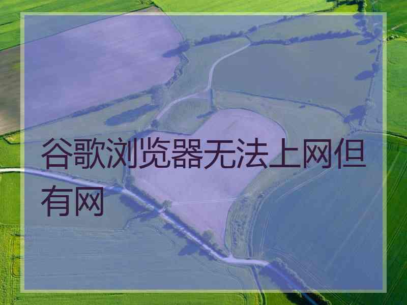 谷歌浏览器无法上网但有网