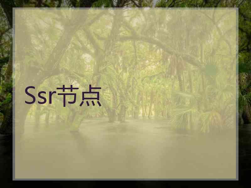 Ssr节点