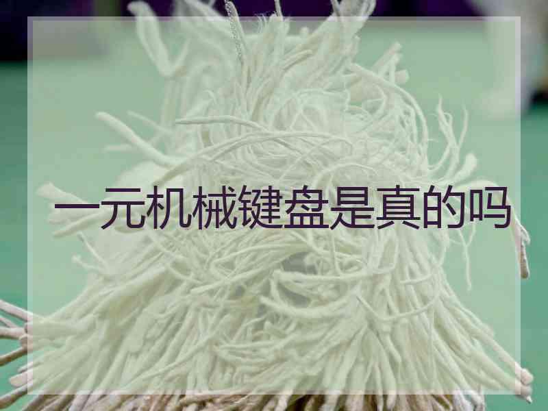 一元机械键盘是真的吗