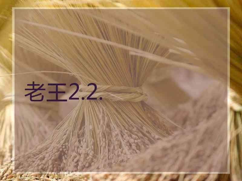 老王2.2.