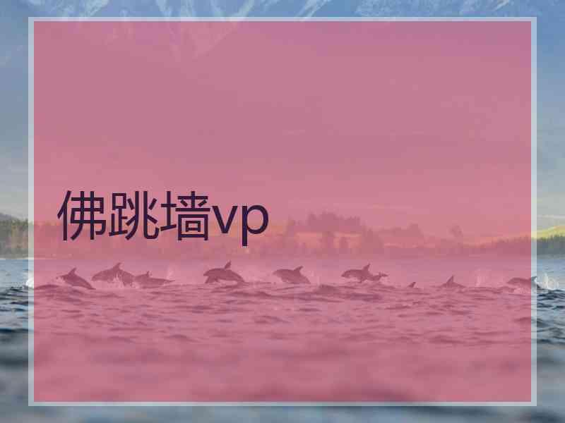佛跳墙vp