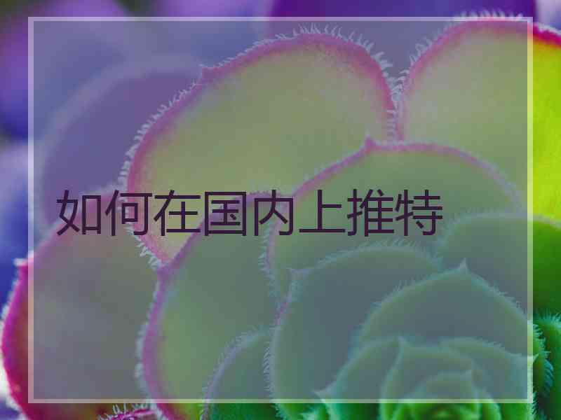 如何在国内上推特