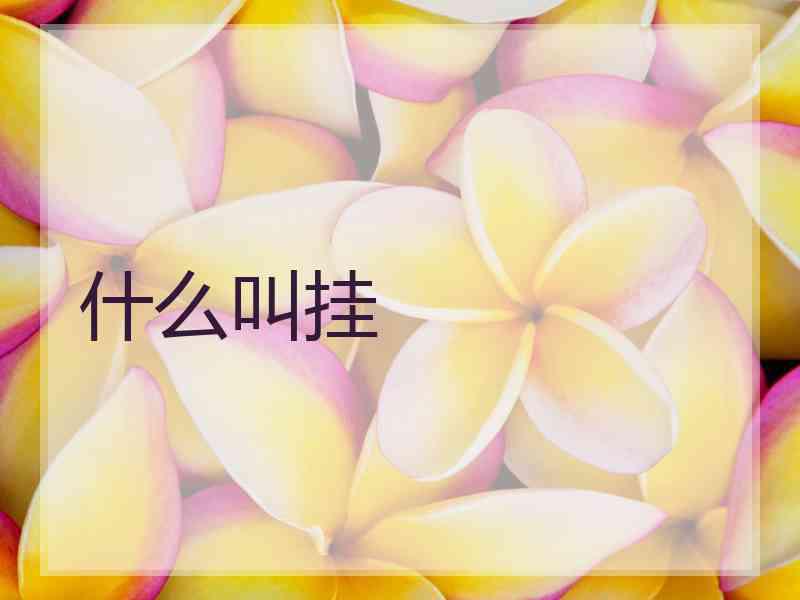 什么叫挂