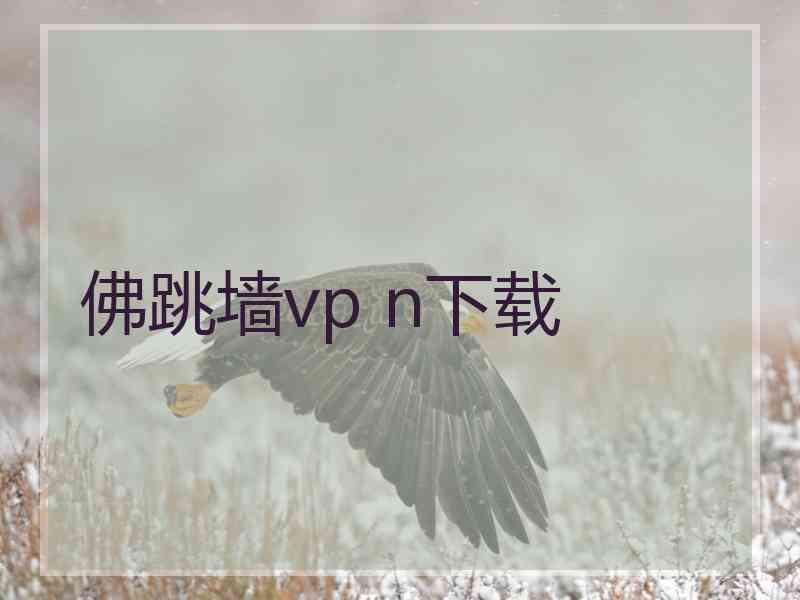 佛跳墙vp n下载