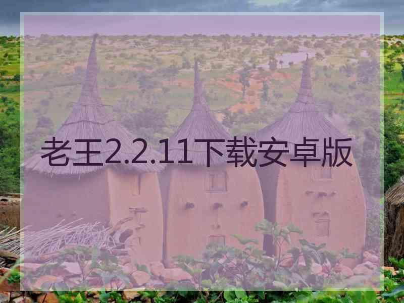 老王2.2.11下载安卓版