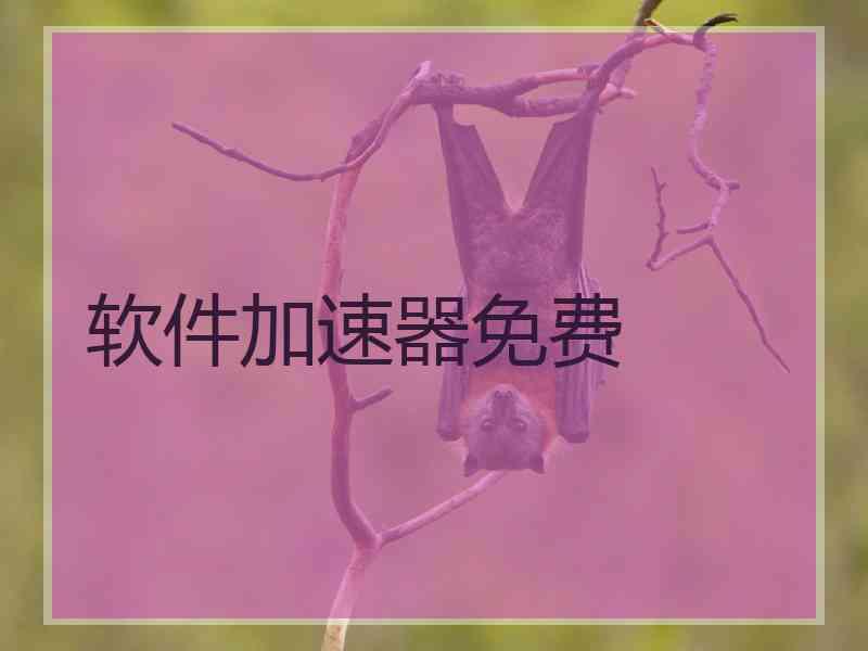 软件加速器免费