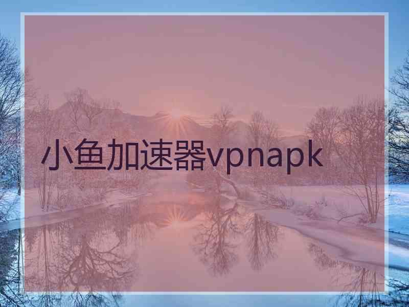 小鱼加速器vpnapk