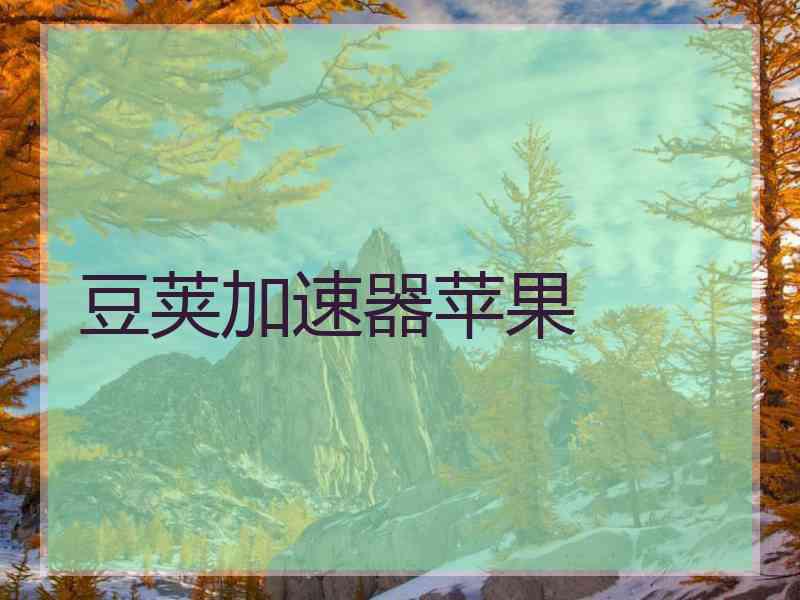 豆荚加速器苹果