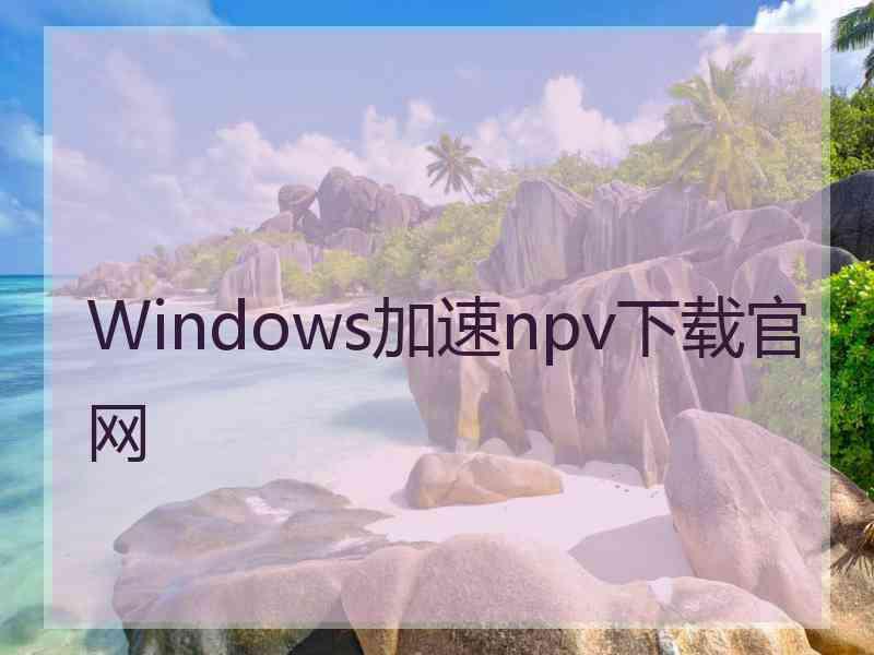 Windows加速npv下载官网