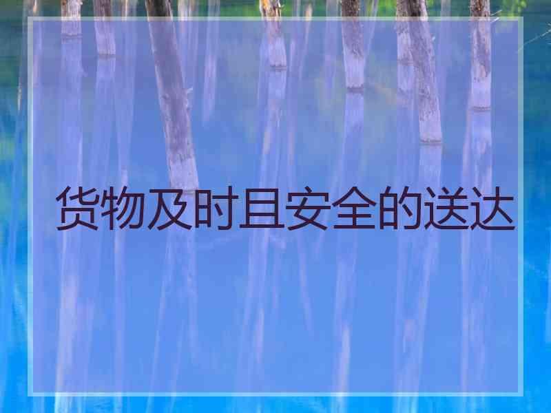 货物及时且安全的送达
