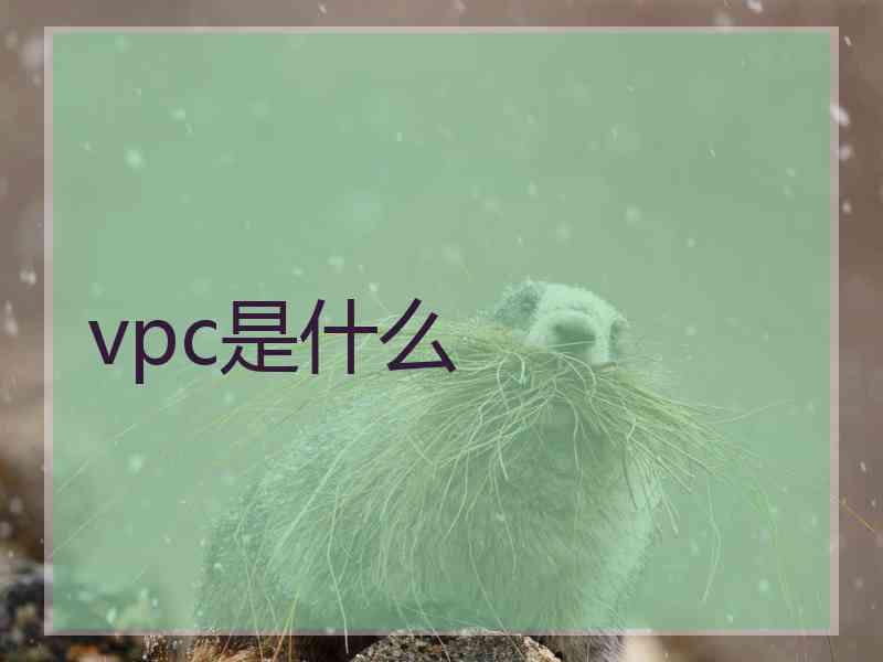 vpc是什么