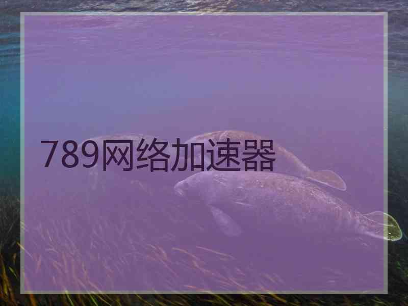 789网络加速器