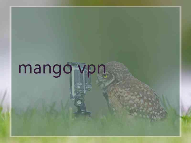 mango vpn
