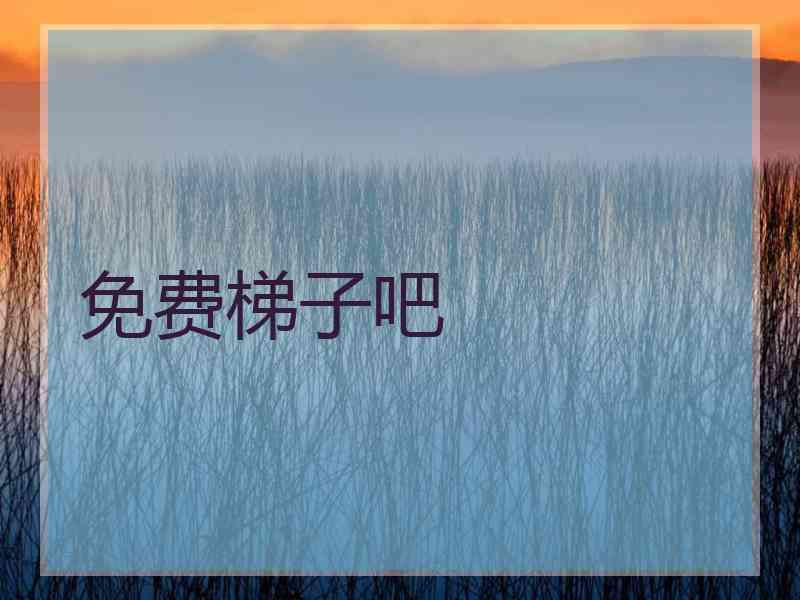 免费梯子吧