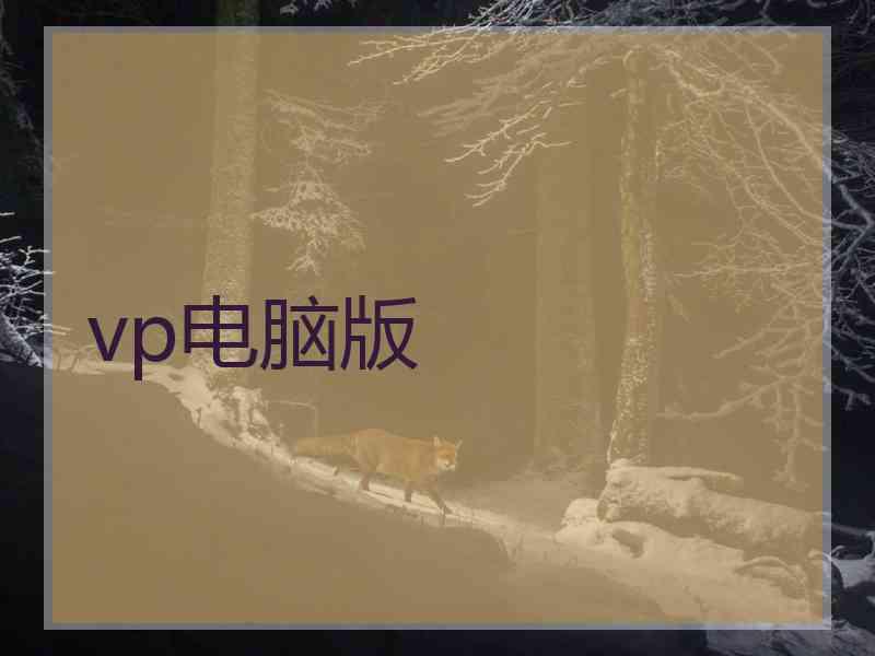 vp电脑版