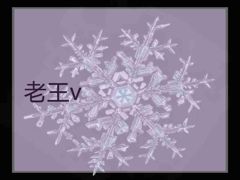 老王v