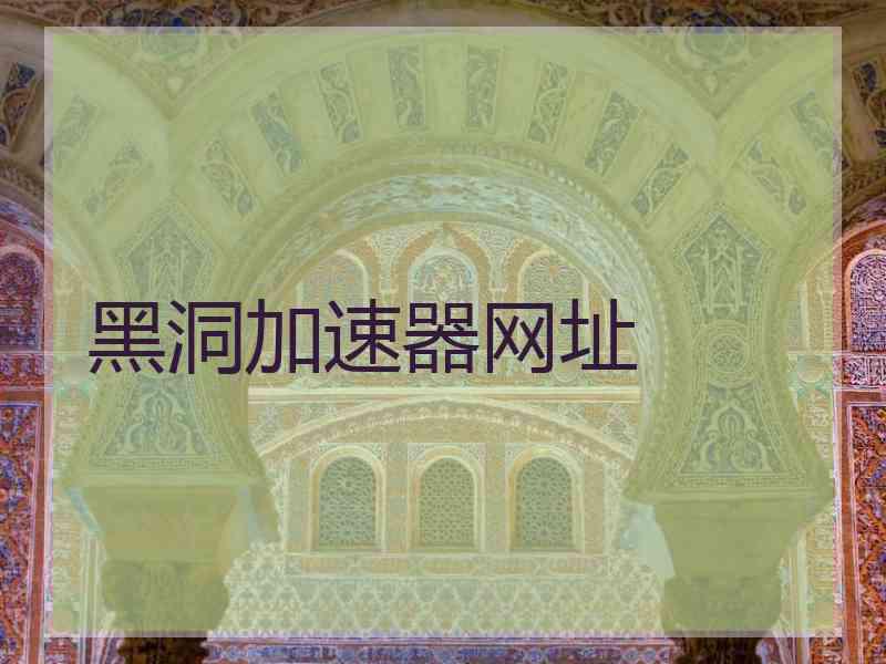 黑洞加速器网址