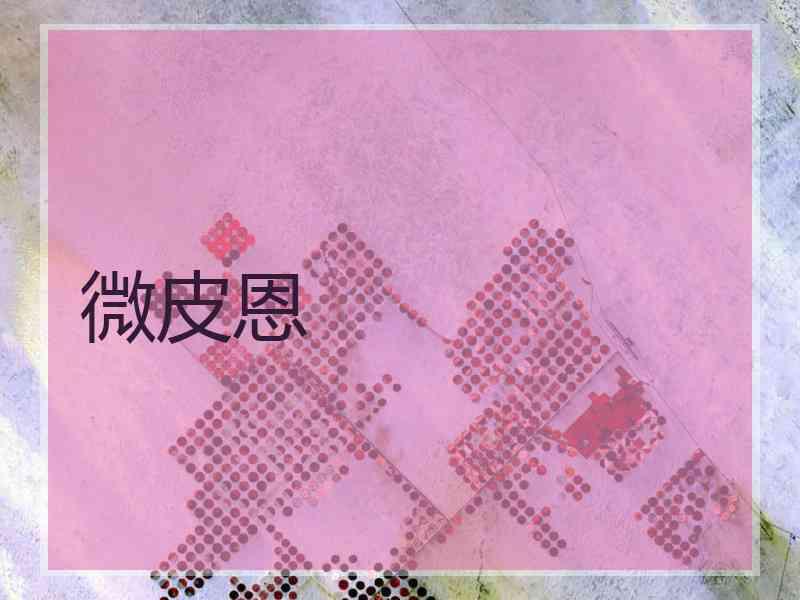 微皮恩