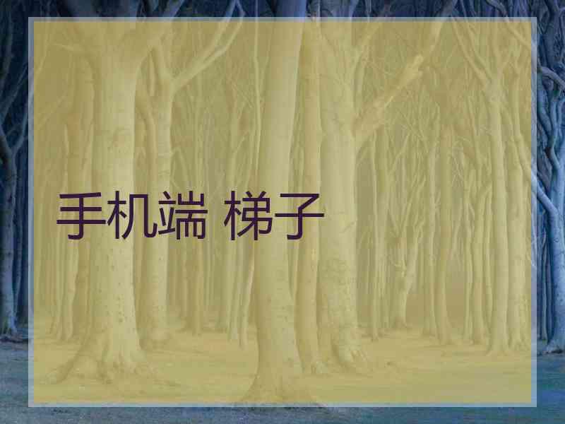 手机端 梯子
