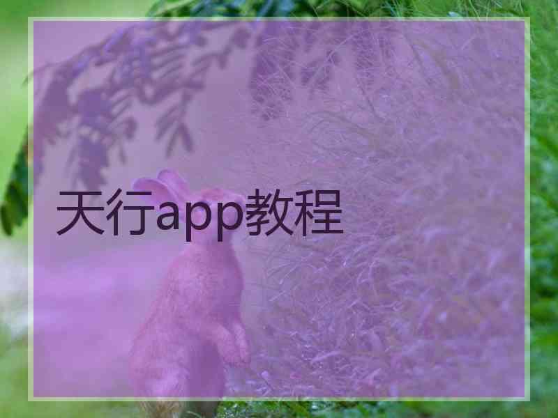 天行app教程