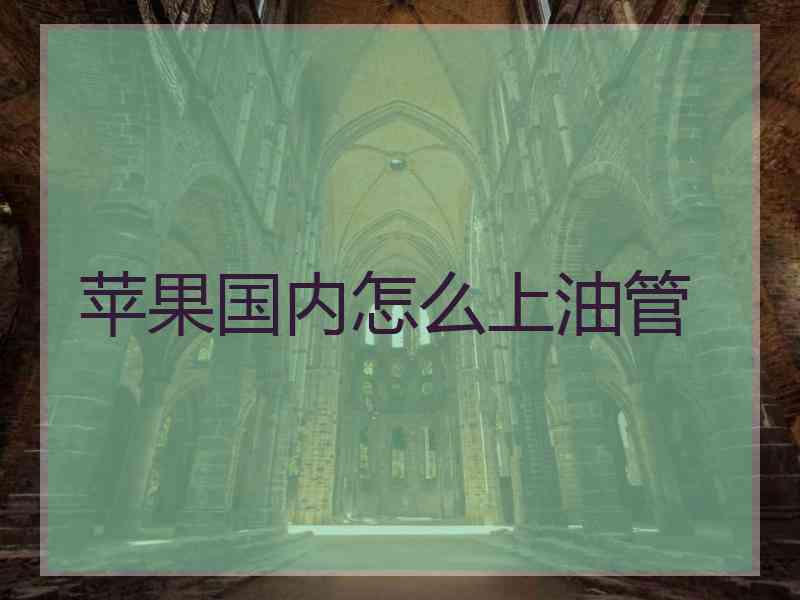 苹果国内怎么上油管