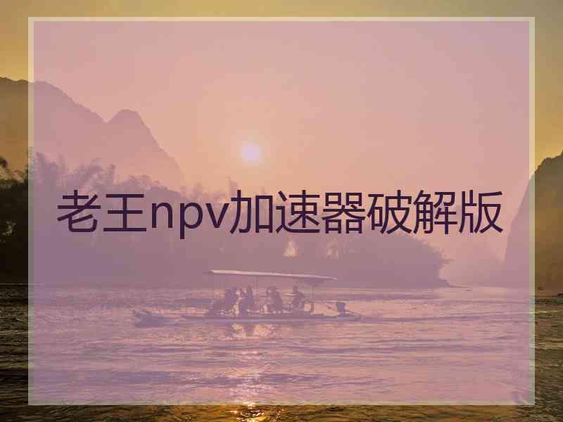老王npv加速器破解版
