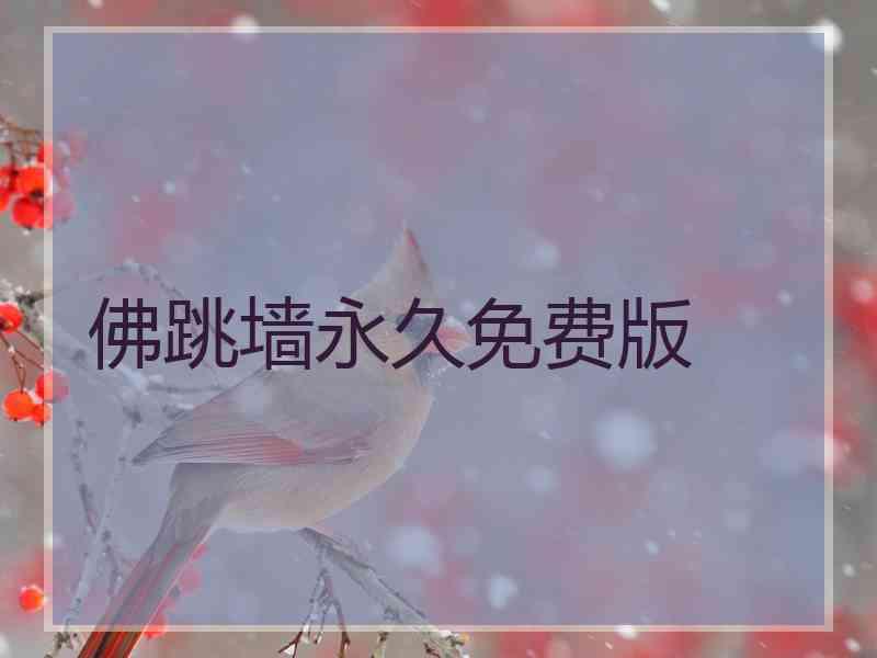 佛跳墙永久免费版
