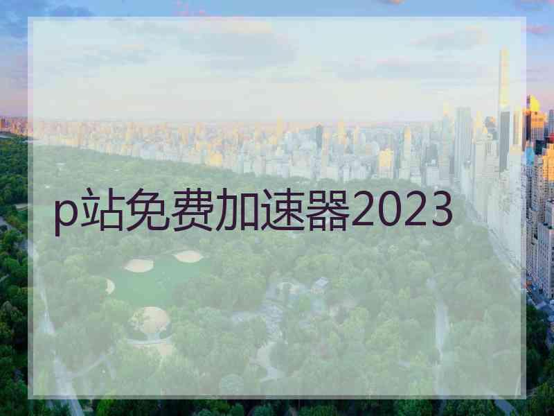 p站免费加速器2023