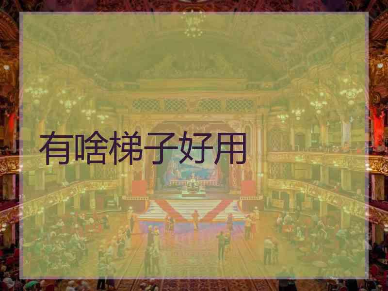 有啥梯子好用