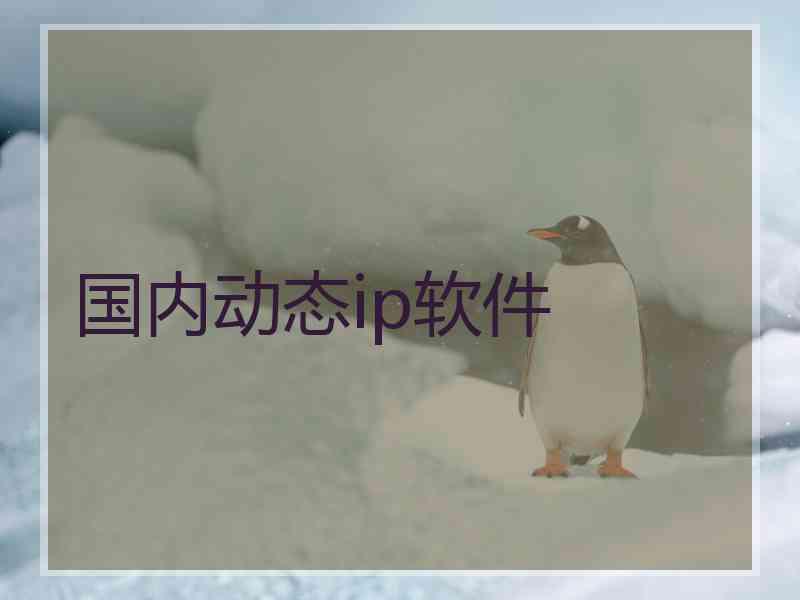 国内动态ip软件