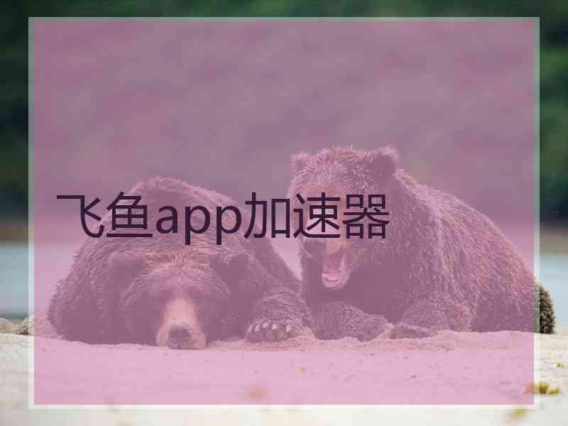 飞鱼app加速器