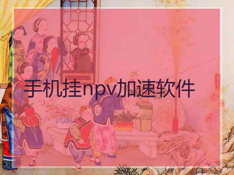 手机挂npv加速软件