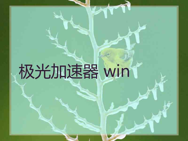 极光加速器 win