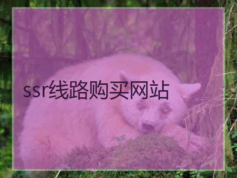 ssr线路购买网站