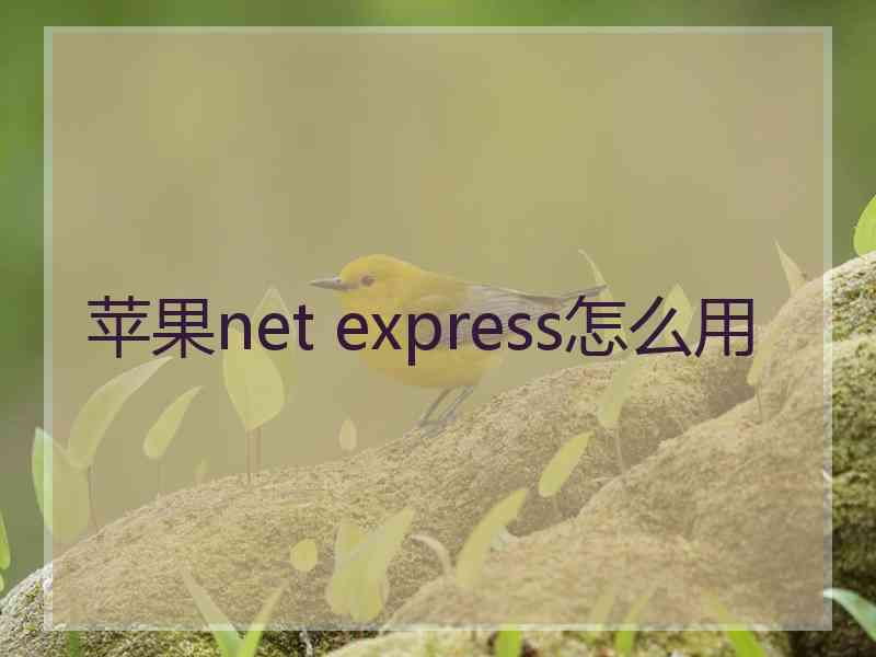苹果net express怎么用