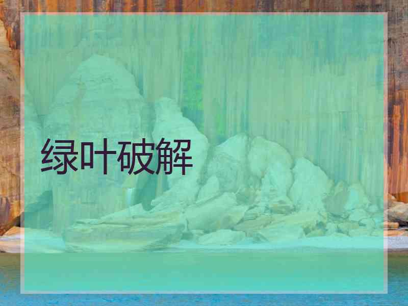 绿叶破解