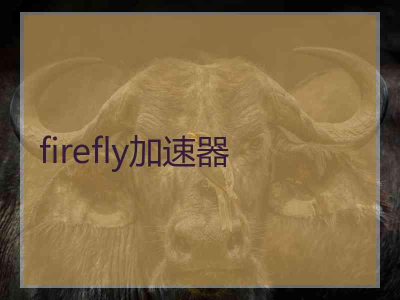 firefly加速器