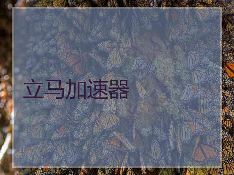 立马加速器