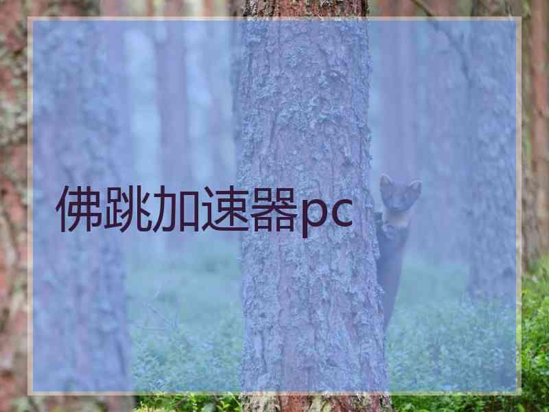 佛跳加速器pc