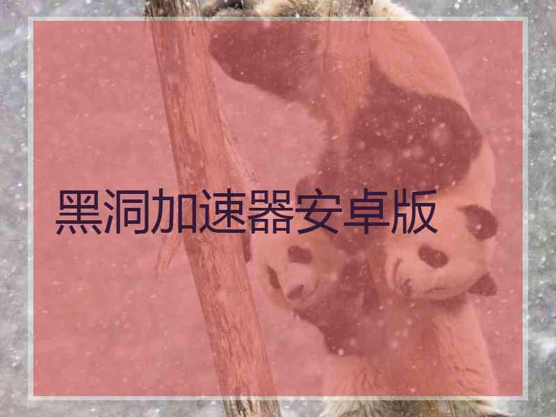 黑洞加速器安卓版