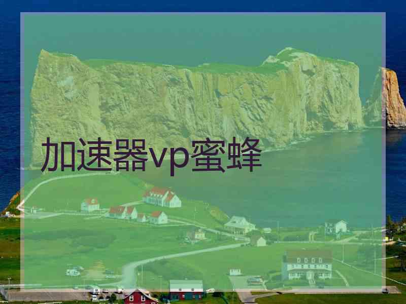 加速器vp蜜蜂