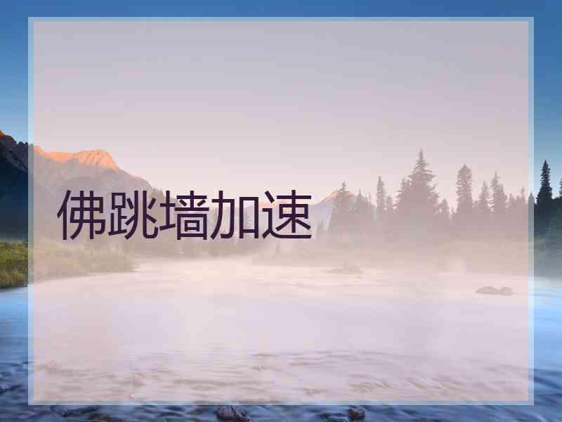 佛跳墙加速