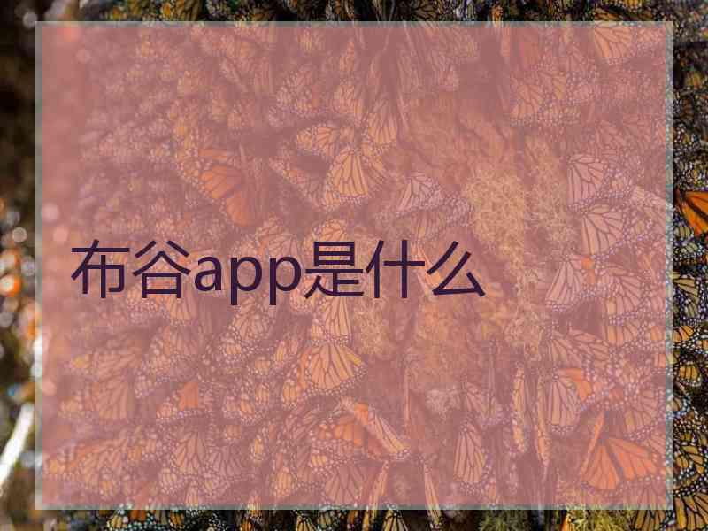 布谷app是什么