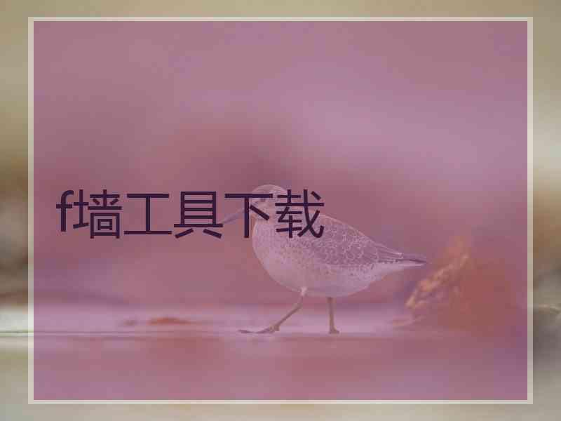 f墙工具下载
