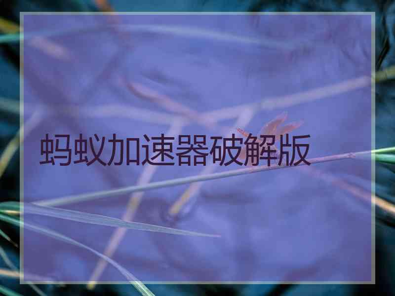 蚂蚁加速器破解版