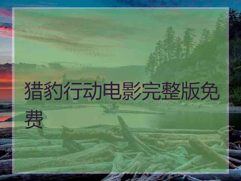 猎豹行动电影完整版免费