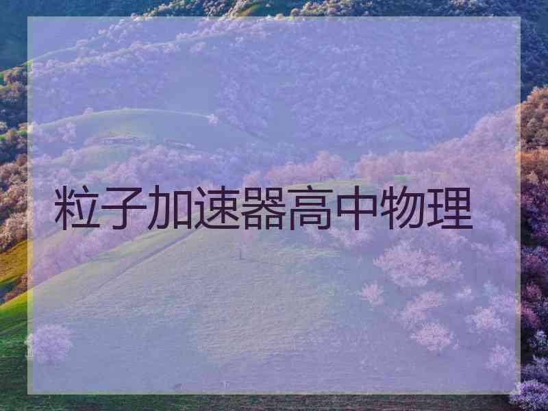 粒子加速器高中物理