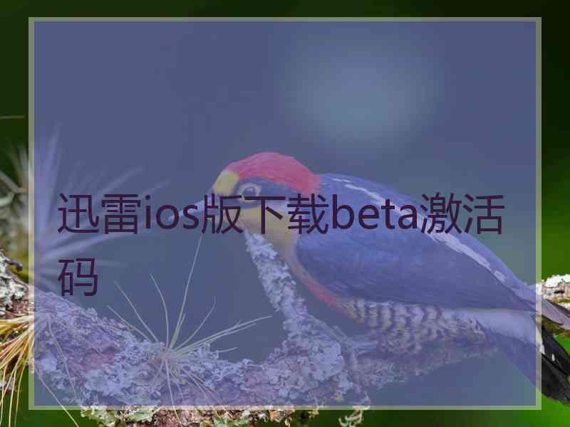 迅雷ios版下载beta激活码