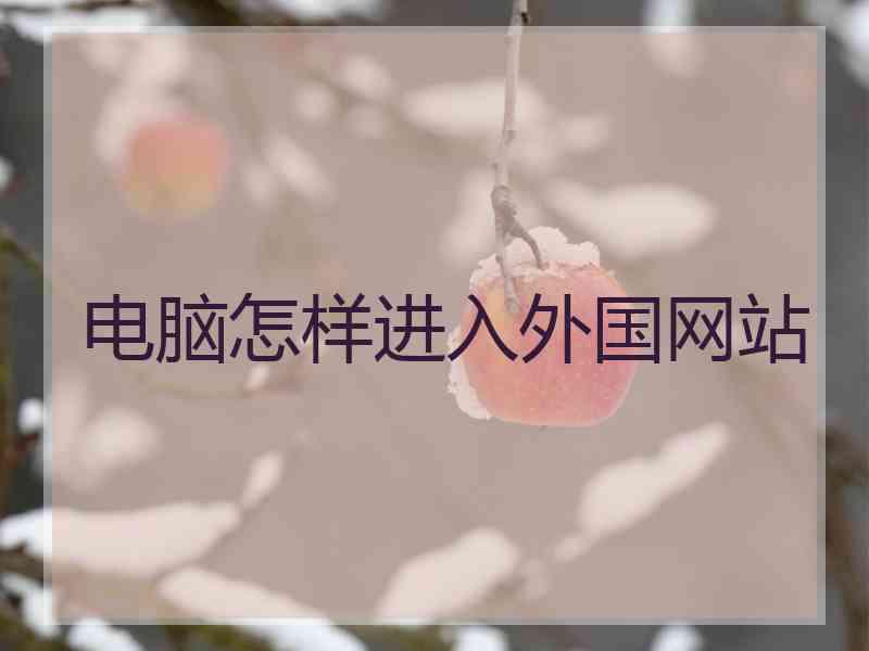 电脑怎样进入外国网站
